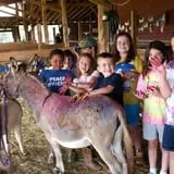 Patterson Farm photo