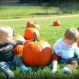 Patterson Farm photo
