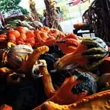 Patterson Farm photo