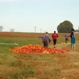 Patterson Farm photo