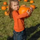 Patterson Farm photo