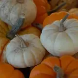 Patterson Farm photo