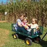 Patterson Farm photo