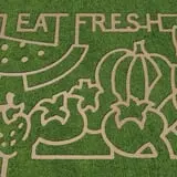 Patterson Farm photo