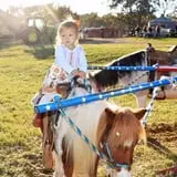 Patterson Farm photo