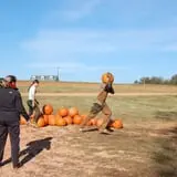 Patterson Farm photo
