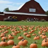 Patterson Farm photo