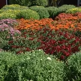 Patterson Farm photo