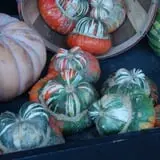 Patterson Farm photo