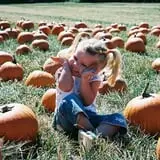 Patterson Farm photo