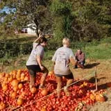 Patterson Farm photo