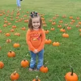Patterson Farm photo