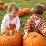 Patterson Farm photo