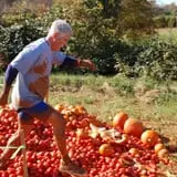Patterson Farm photo