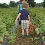 Patterson Farm photo
