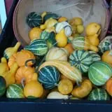 Patterson Farm photo