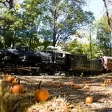 Pumpkin Train at Delaware River Railroad Excursions photo