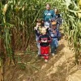 Pumpkin Train at Delaware River Railroad Excursions photo