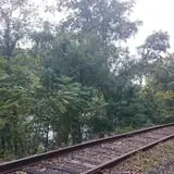 Pumpkin Train at Delaware River Railroad Excursions photo