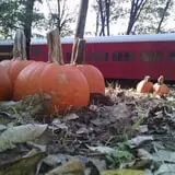 Pumpkin Train at Delaware River Railroad Excursions photo