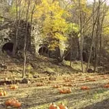 Pumpkin Train at Delaware River Railroad Excursions photo