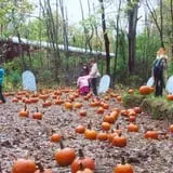 Pumpkin Train at Delaware River Railroad Excursions photo