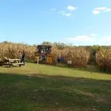 Pumpkin Train at Delaware River Railroad Excursions photo