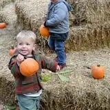 Pumpkin Train at Delaware River Railroad Excursions photo