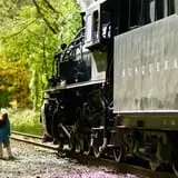 Pumpkin Train at Delaware River Railroad Excursions photo