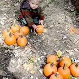 Pumpkin Train at Delaware River Railroad Excursions photo