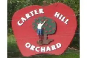 Carter Hill Orchard Pumpkin Patch