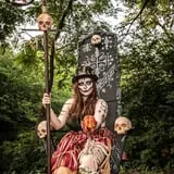 Curse of the Bayou
