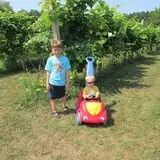Sunnycrest Farm Pumpkin Patch photo