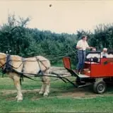Sunnycrest Farm Pumpkin Patch photo