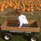 Sunnycrest Farm Pumpkin Patch photo