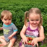 Sunnycrest Farm Pumpkin Patch photo