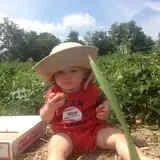 Sunnycrest Farm Pumpkin Patch photo