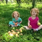 Sunnycrest Farm Pumpkin Patch photo