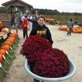 Mr. Pepper's Pumpkin Patch photo