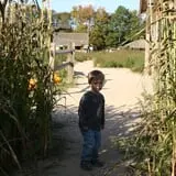 Mr. Pepper's Pumpkin Patch photo