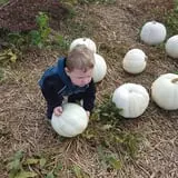 Mr. Pepper's Pumpkin Patch photo