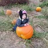 Mr. Pepper's Pumpkin Patch photo