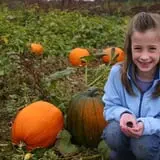 Mr. Pepper's Pumpkin Patch photo