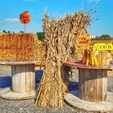 Mr. Pepper's Pumpkin Patch photo