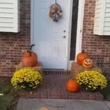Mr. Pepper's Pumpkin Patch photo