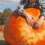 Mr. Pepper's Pumpkin Patch photo