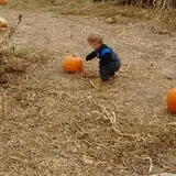 Mr. Pepper's Pumpkin Patch photo