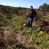 Mr. Pepper's Pumpkin Patch photo