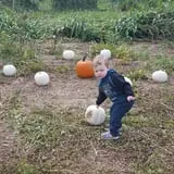 Mr. Pepper's Pumpkin Patch photo