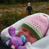 Mr. Pepper's Pumpkin Patch photo